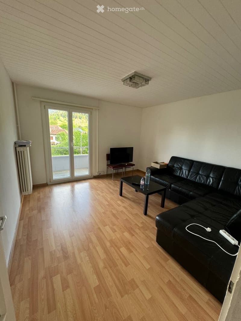 Appartement 3,5 pièces à saisir (1)