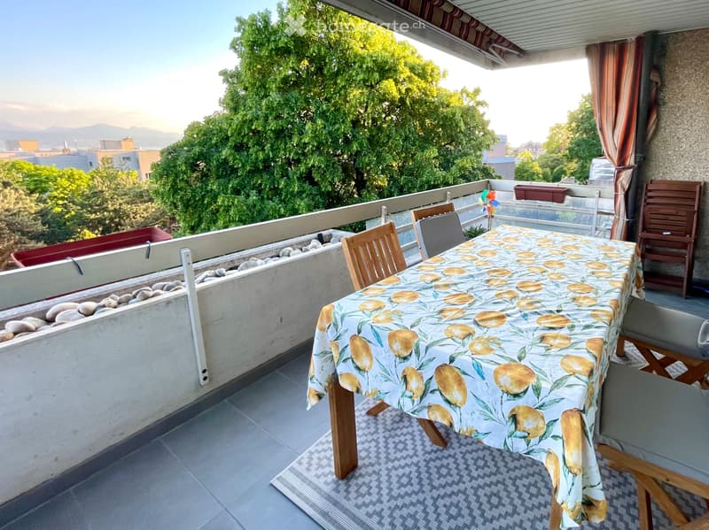 Quartier Mousquines - appartement 5,5 pièces de 180m2 (5)