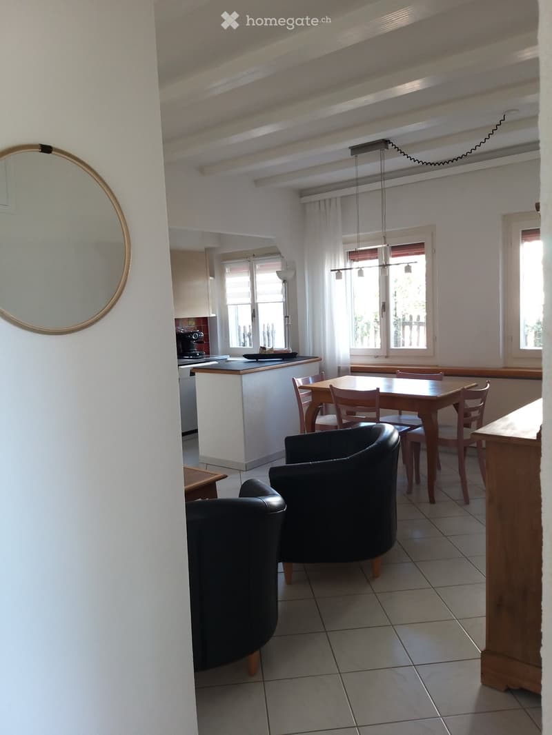 Wohnung in Horgen (1)