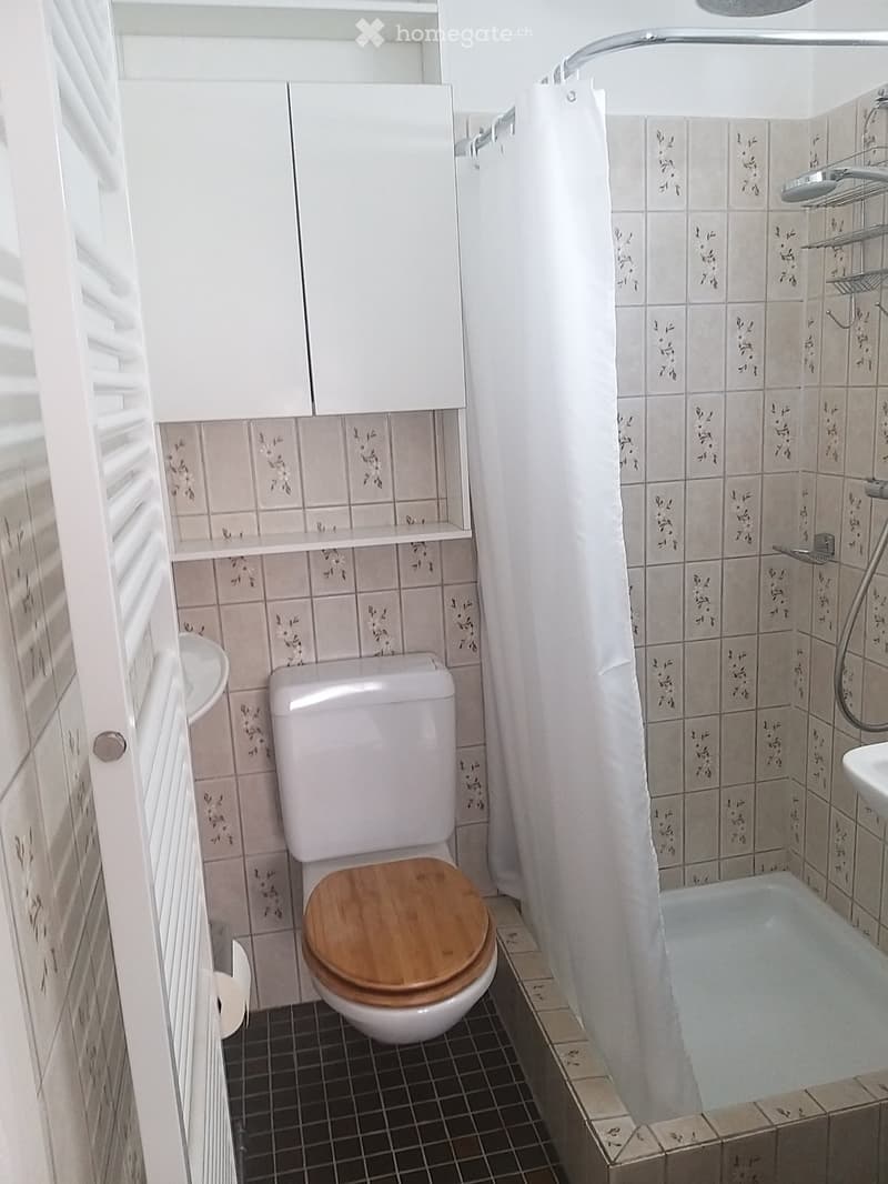 Wohnung in Horgen (4)