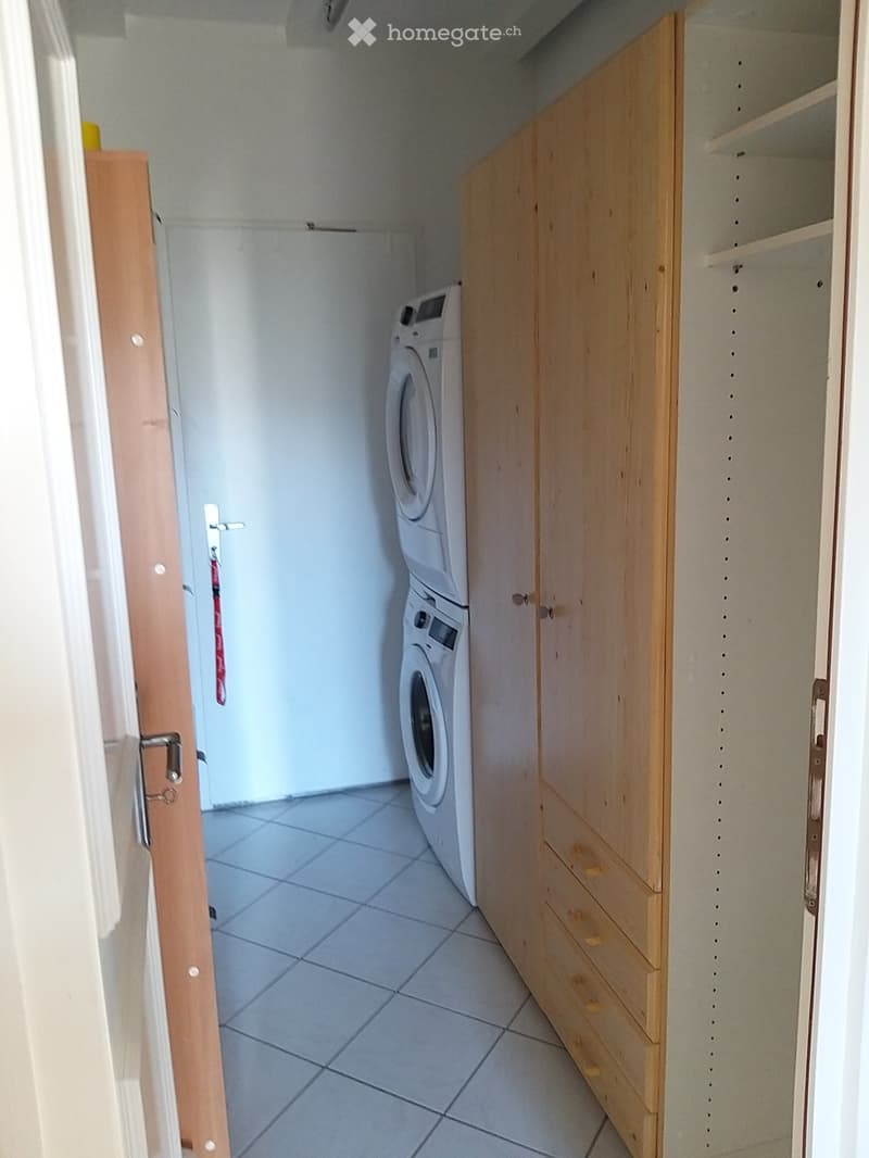 Wohnung in Horgen (3)