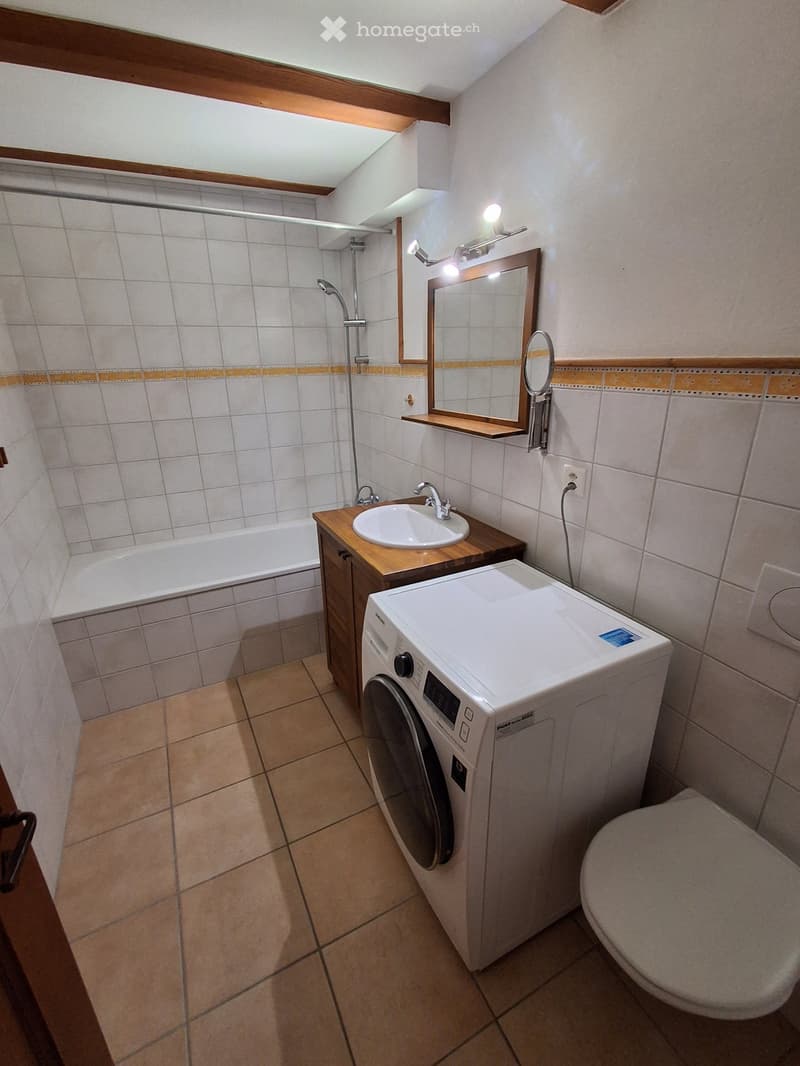 Magnifique loft duplex de cachet (2.5 pces) - Avry (3)