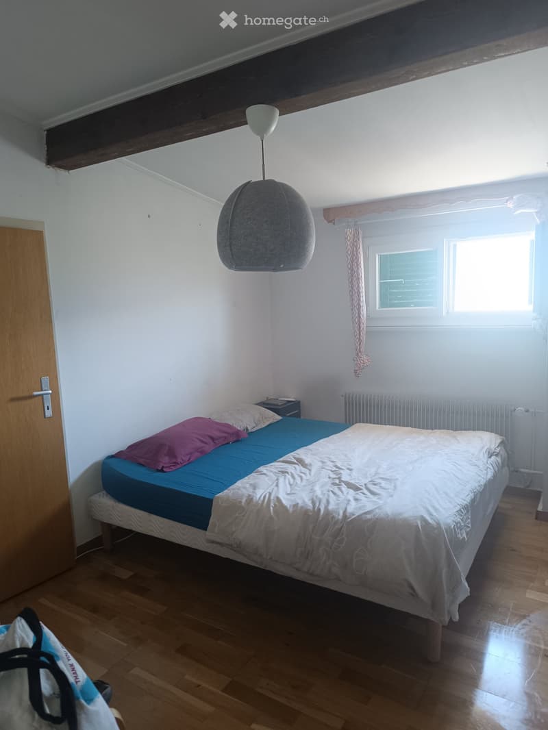 Apartement en location (3)