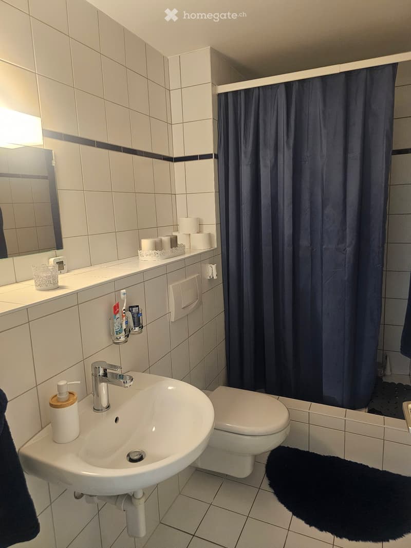 A louer magnifique appartement de 4 1/2 pièces à Dombresson (3)