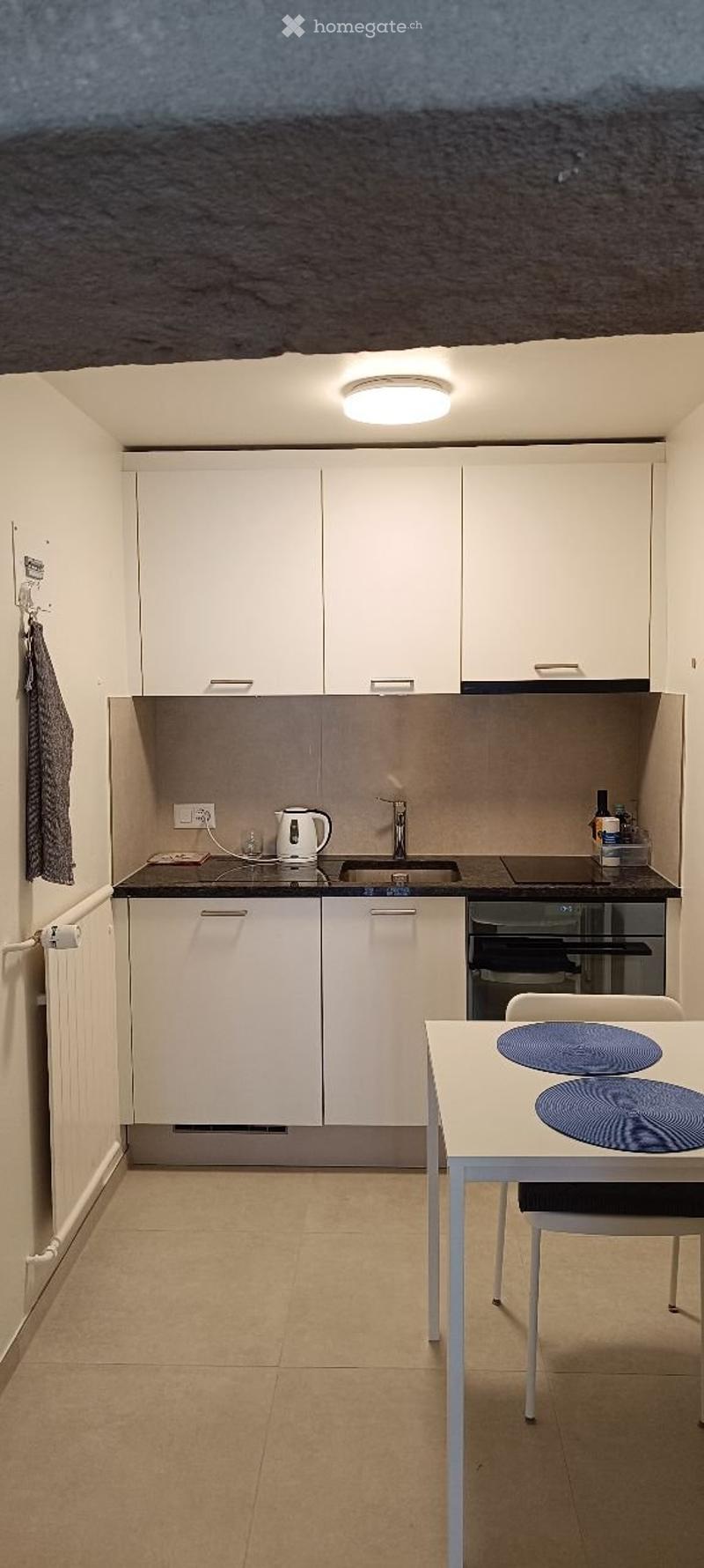 Appartement 1 pièce Neuchâtel Cressier libre au 01.08.26 (4)
