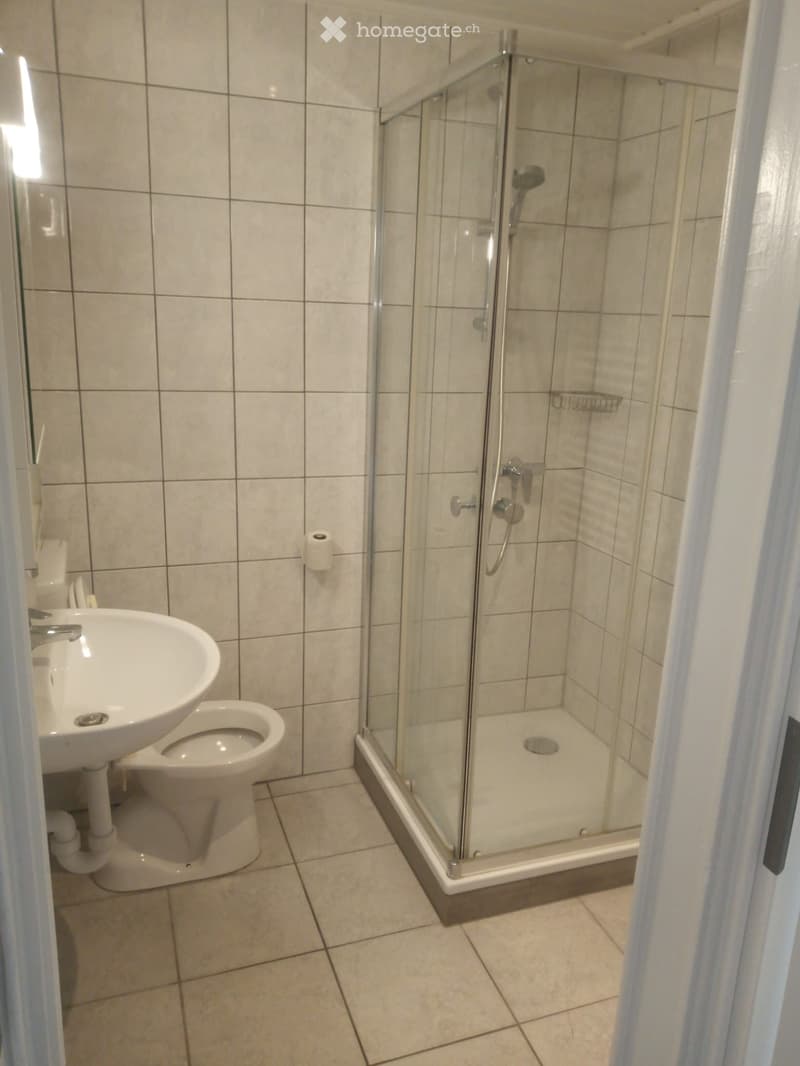 Bel appartement rénové (4)