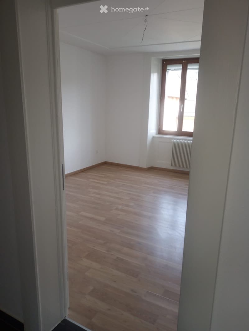 Bel appartement rénové (5)