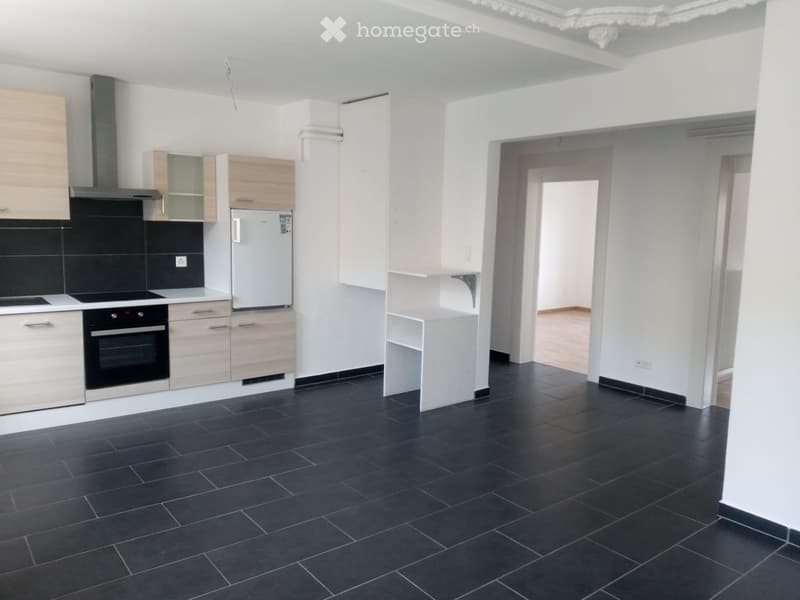 Bel appartement rénové (1)