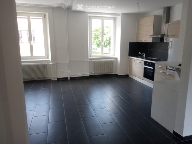 Bel appartement rénové (3)