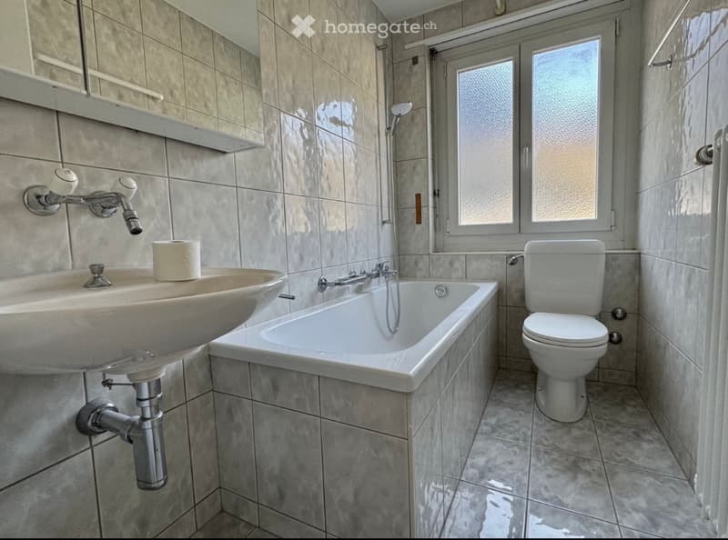 Rent a 4 Rooms Apartament in Naters (5)