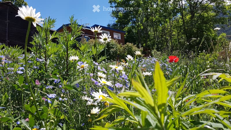Öko-Tiny House (Fahrnisbaute) mit 531 m2 Permakultur-Garten (5)