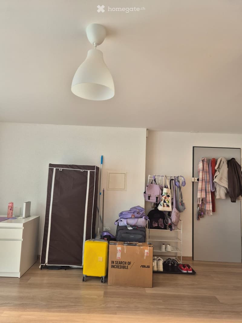 Charmant studio lumineux et moderne à Genolier (5)
