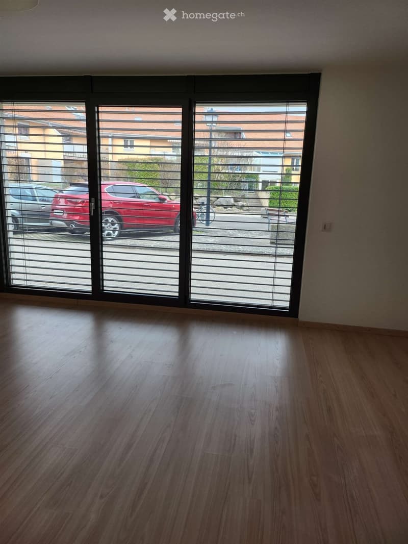 Charmant studio lumineux et moderne à Genolier (2)