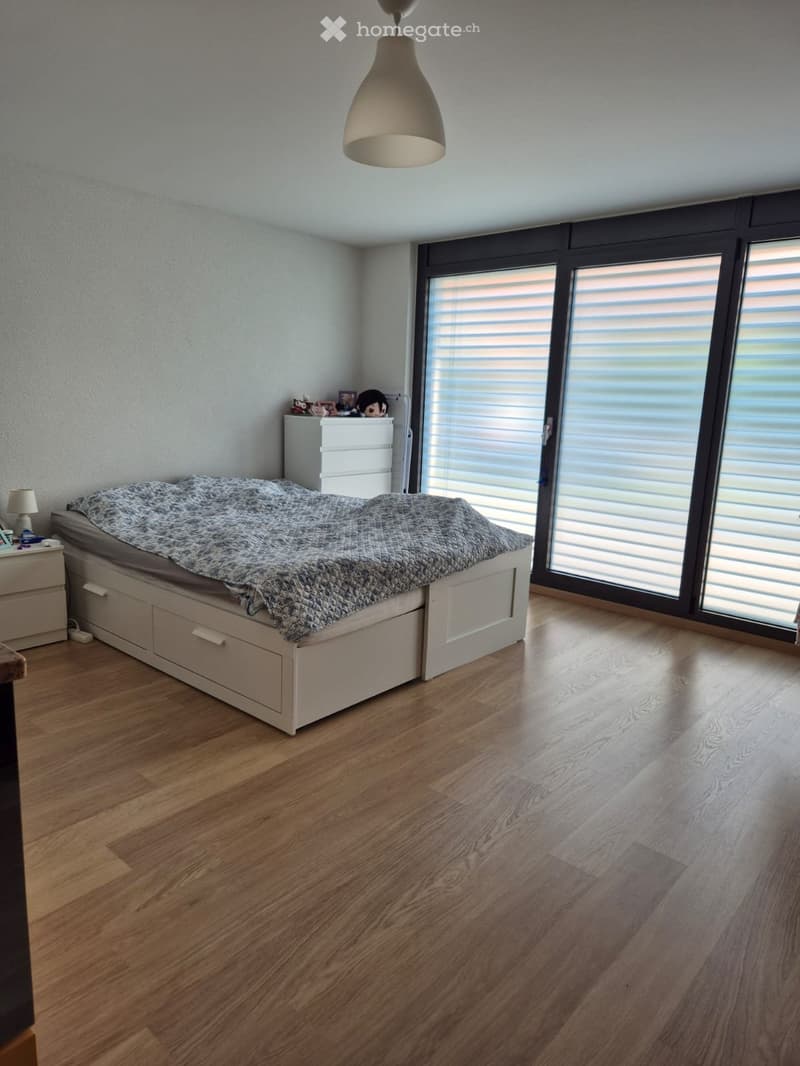 Charmant studio lumineux et moderne à Genolier (4)