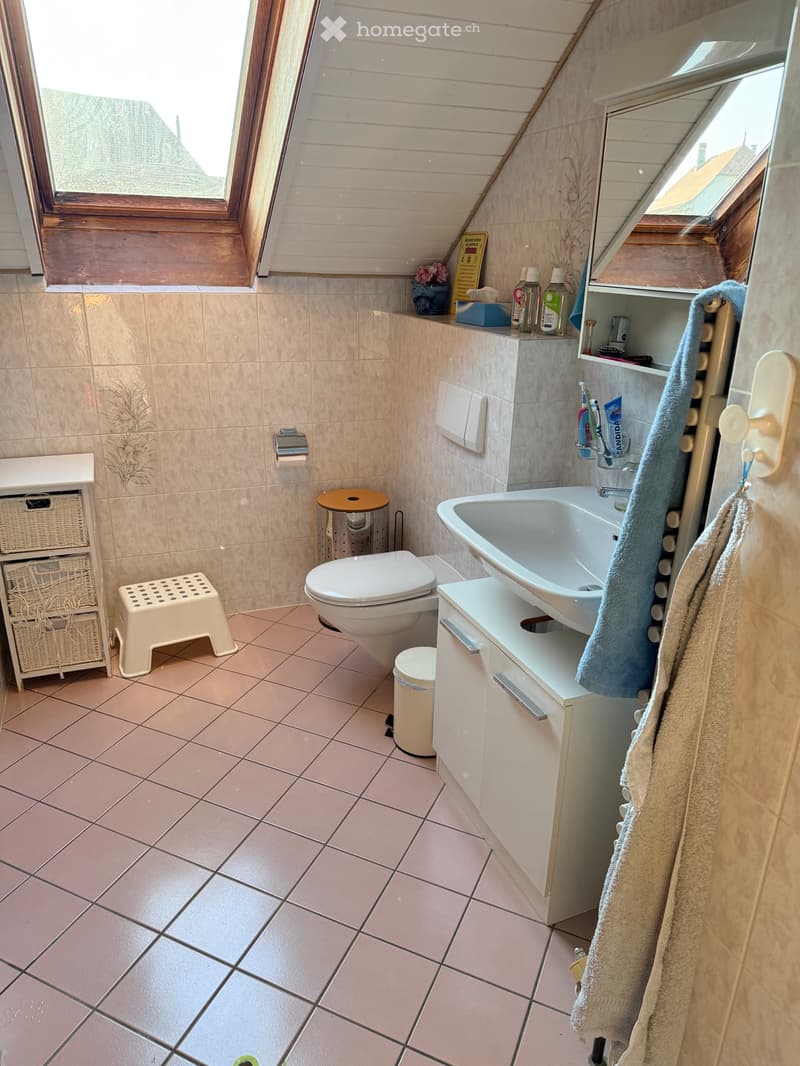 Reprise d appartement (5)