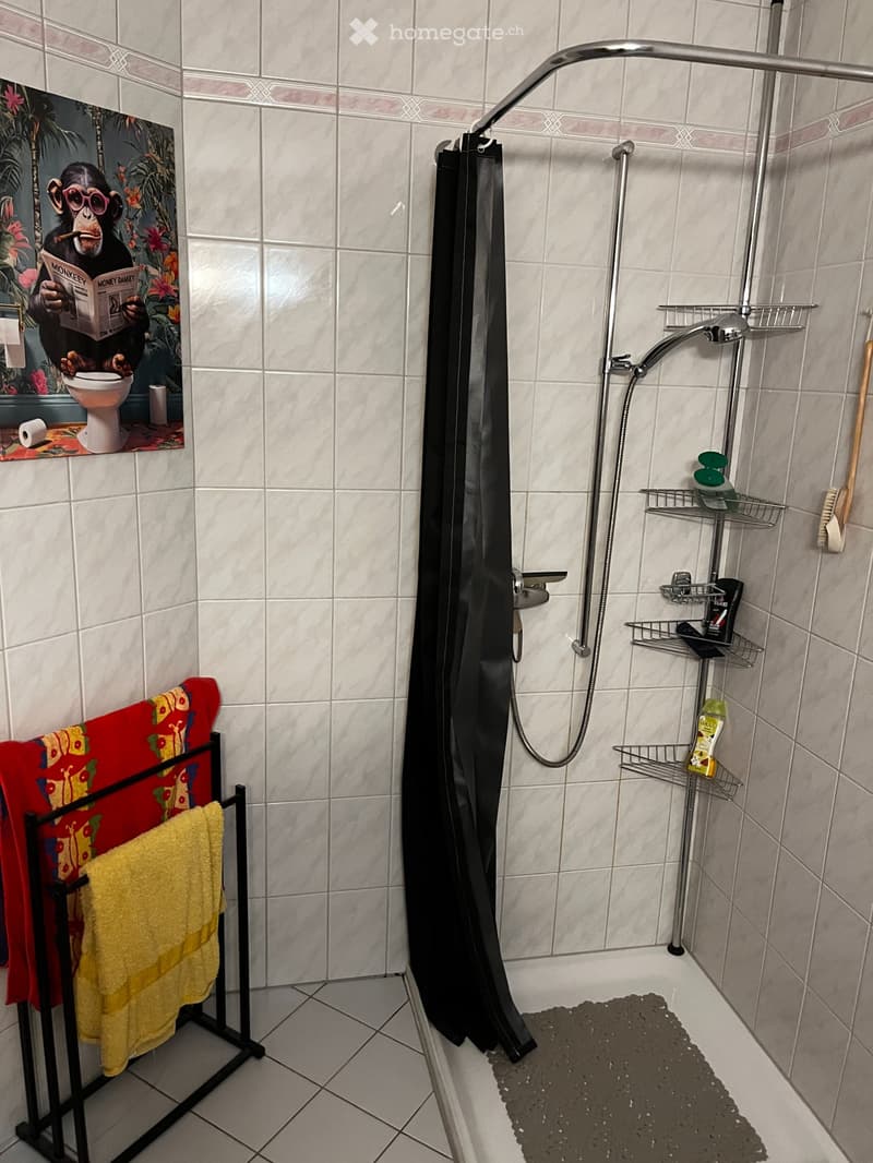 Appartement de 2,5 pièces à louer à Villarsel-le-Gibloux (2)