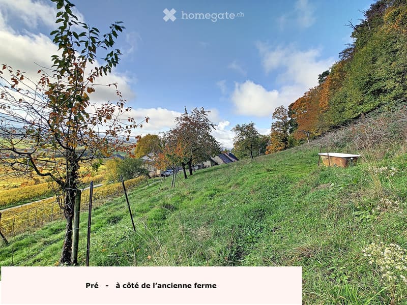 Hameau viticole avec forêt, vue imprenable lac (4)