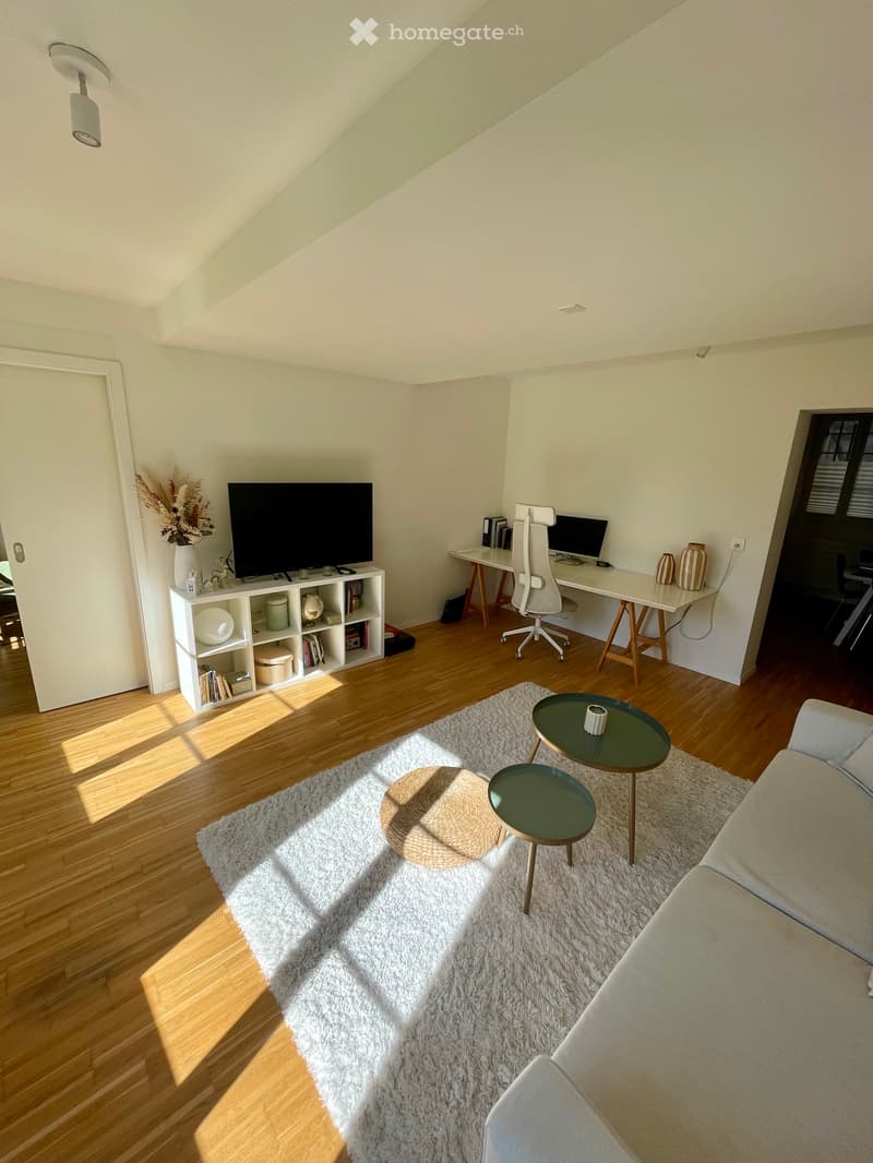 Appartement 2,5 pièces lumineux au coeur de Lausanne (2)