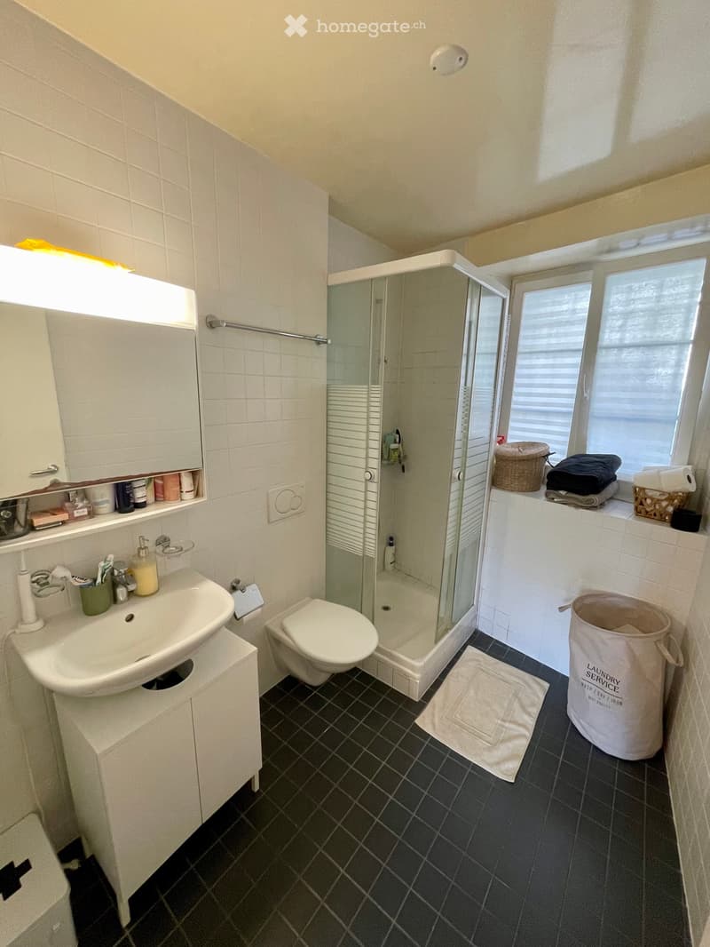 Appartement 2,5 pièces lumineux au coeur de Lausanne (13)
