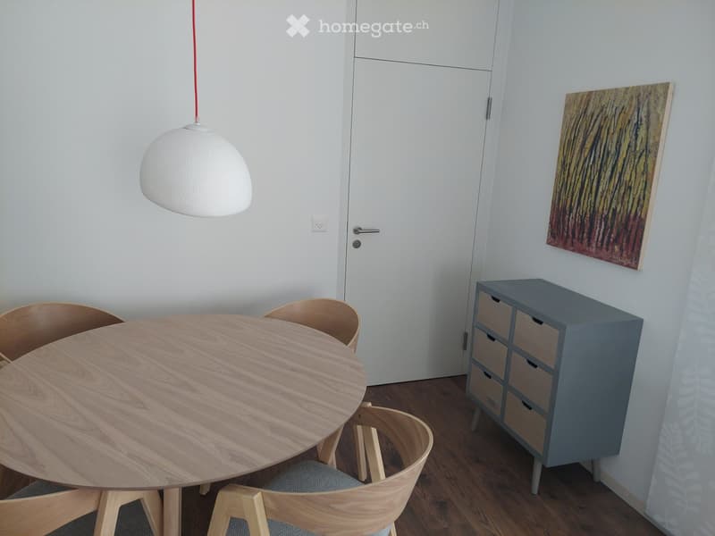 Appartement meublé à louer (3)