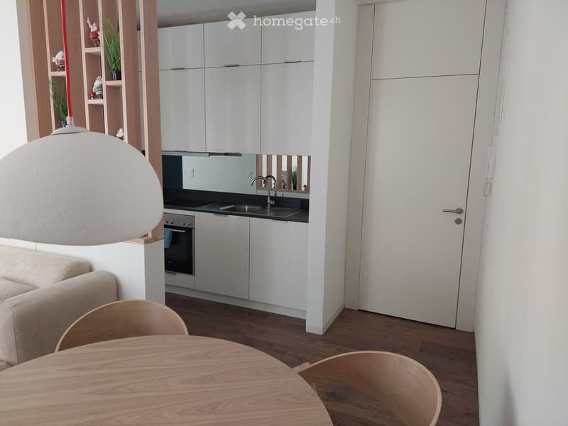 Appartement meublé à louer (2)