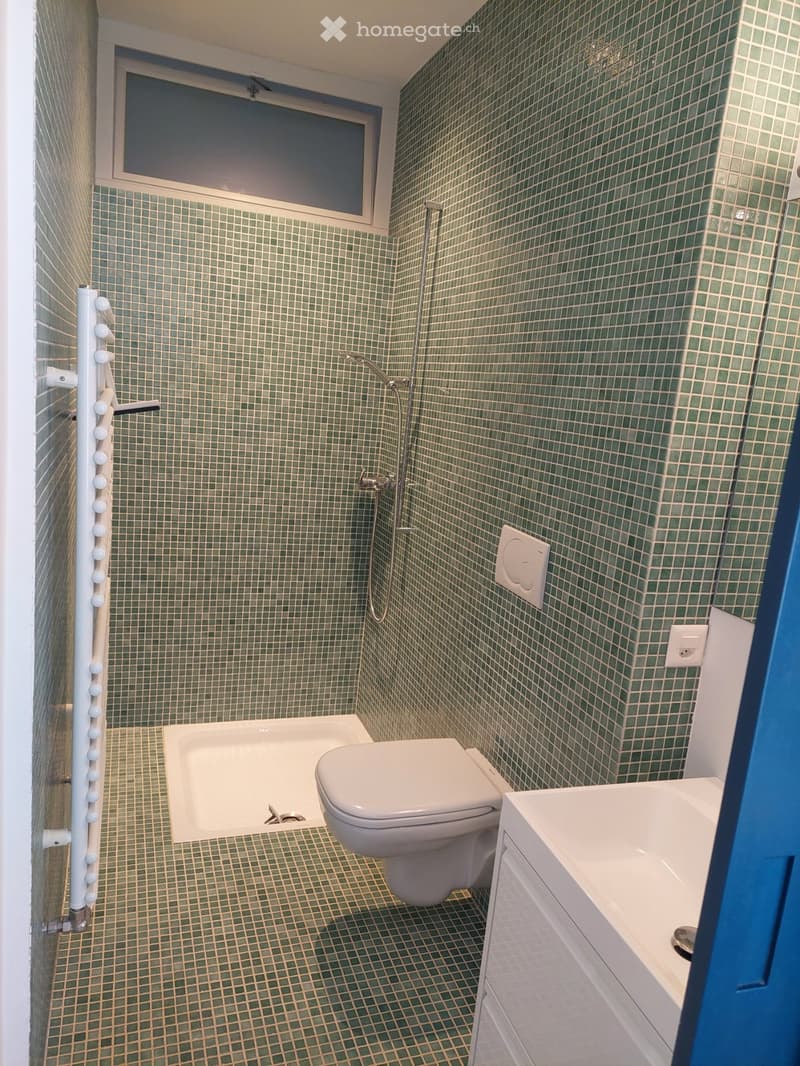 Appartement meublé à louer (5)
