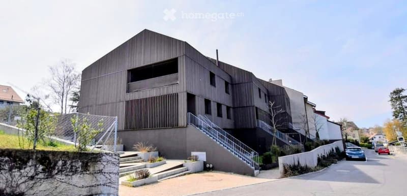 Beau 3 pièces Bernex  calme terrasse jardin parking (5)