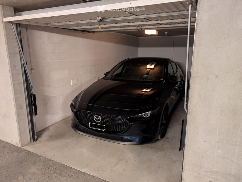 Rare à Sion : 2.5 pièces avec jardin privatif et garage box (10)