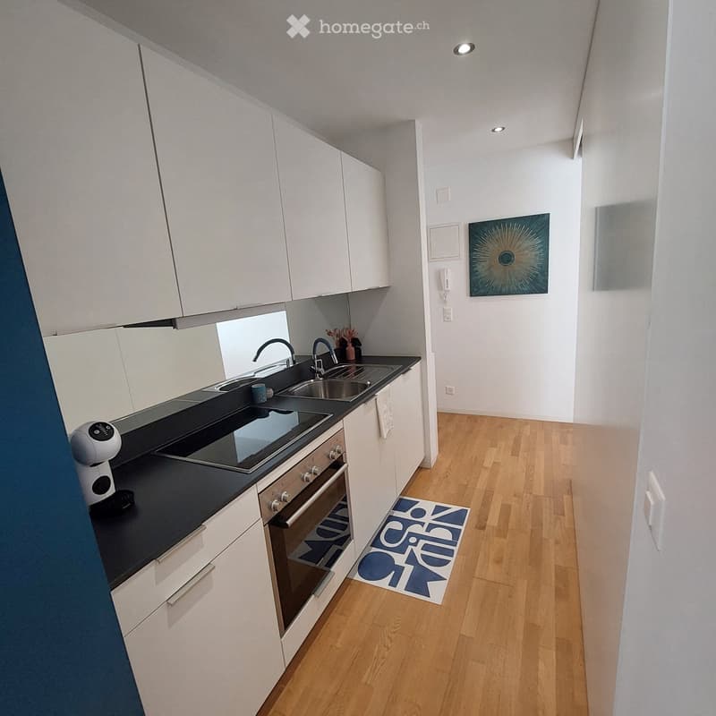 Appartement rénové (3)