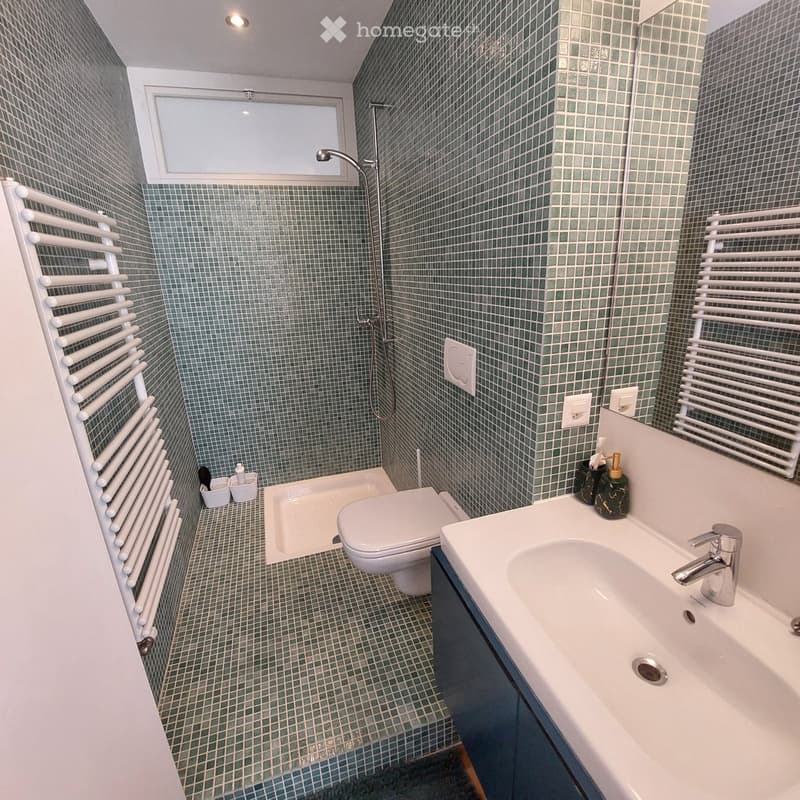 Appartement rénové (5)