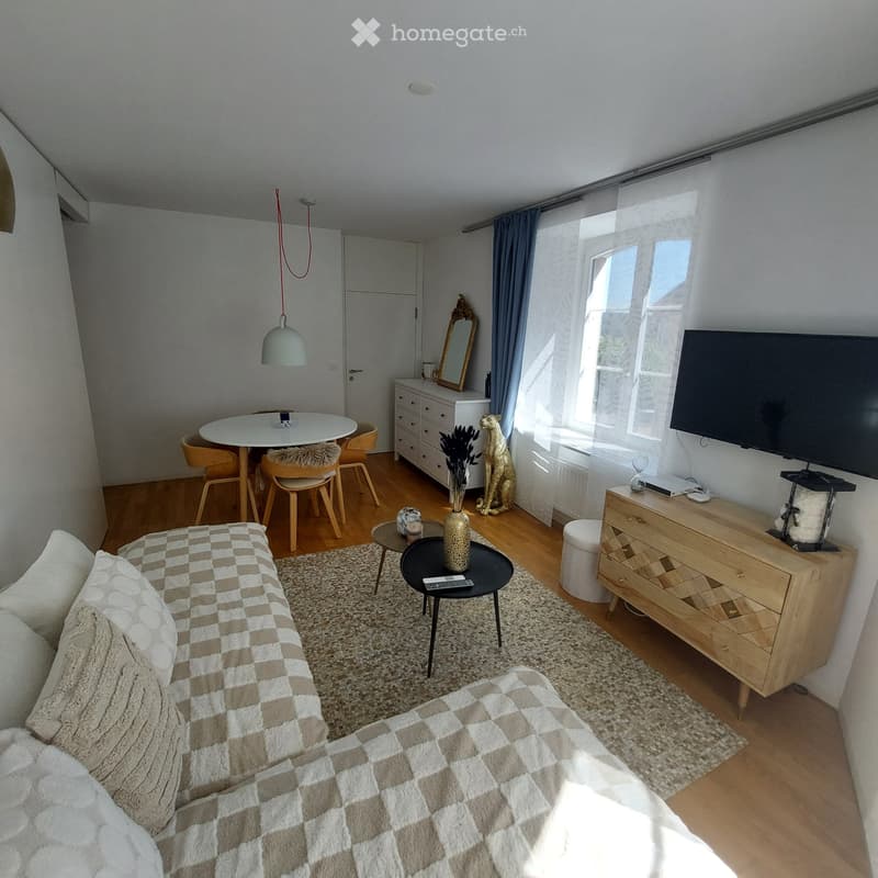 Appartement rénové (2)