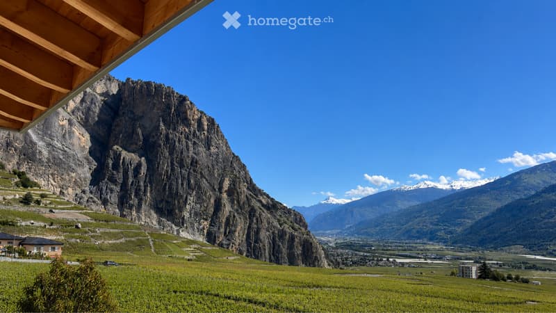 Superbe appartement 4.5 pces avec balcon panoramique (4)