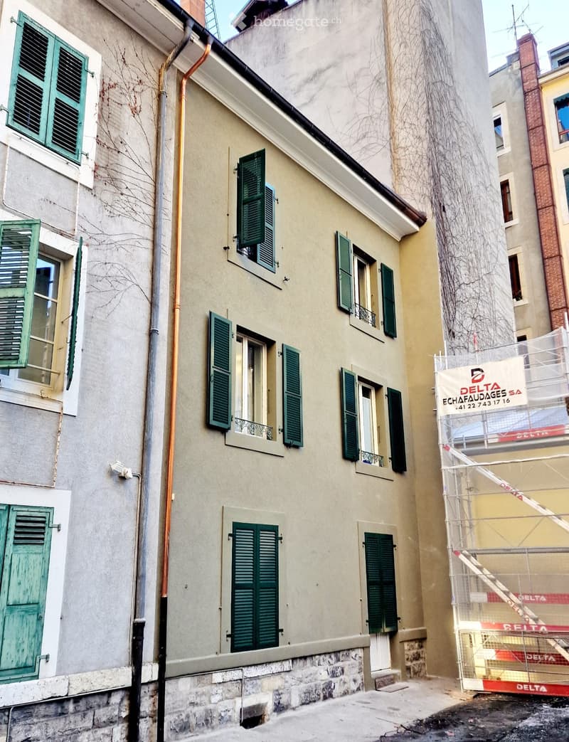 À vendre : Immeuble bien entretenu - Genève Cité (2)