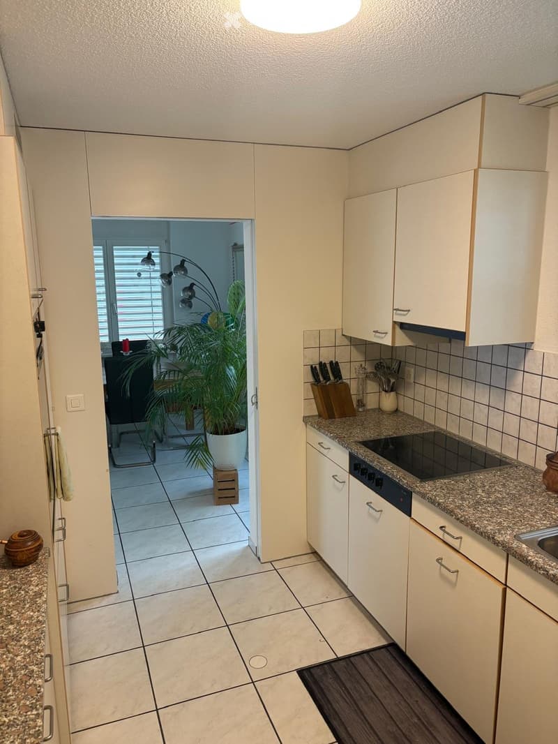 Charmante 3,5-Zimmer-Wohnung zu vermieten (2)