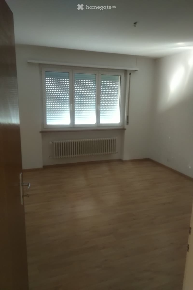 A louer 3,5p lumineux, rénové sdb et cuisine avec balcon (2)