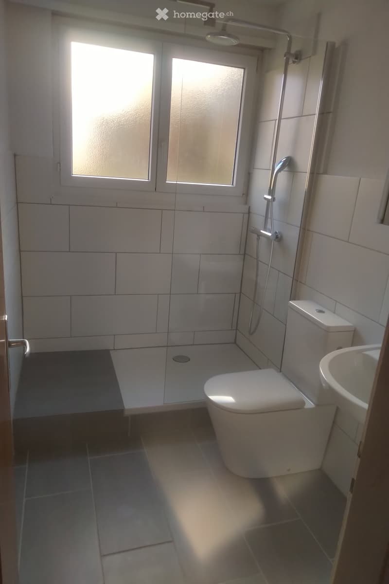 A louer 3,5p lumineux, rénové sdb et cuisine avec balcon (4)