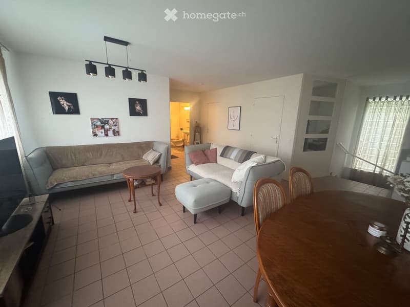 Maison contiguë (4)