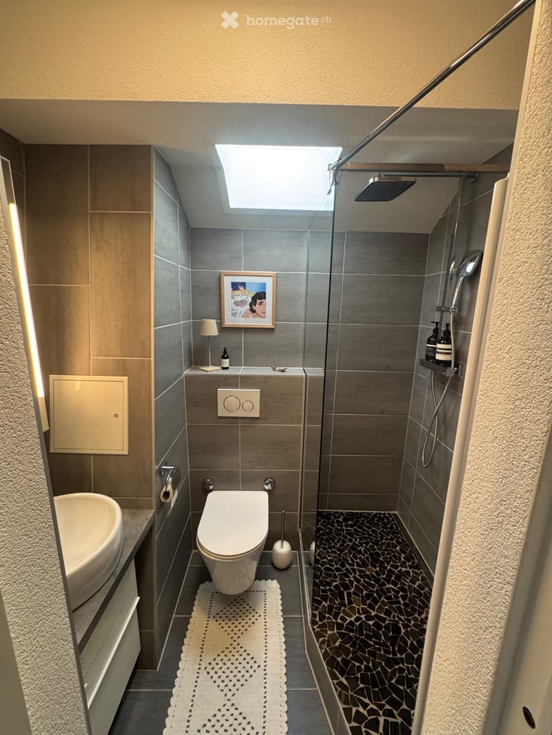 Bel appartement à louer (5)