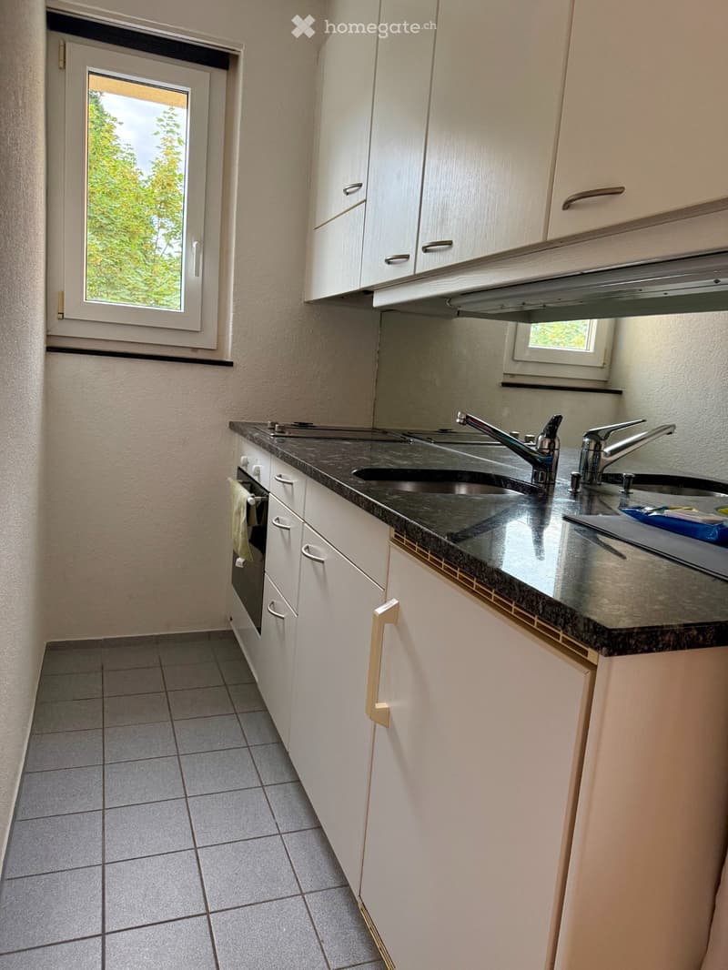 Helle und moderne 1.5-Zi-Wohnung an der Brunnmattstrasse 43 (2)