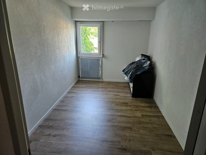 Appartement duplex lumineux et rénové (5)