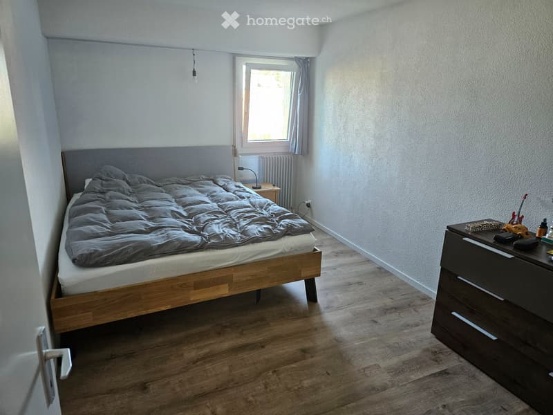 Appartement duplex lumineux et rénové (4)
