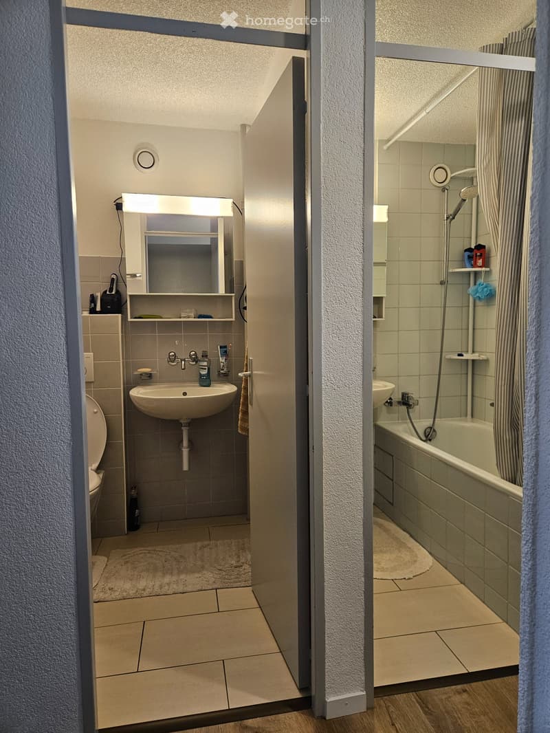 Appartement duplex lumineux et rénové (3)