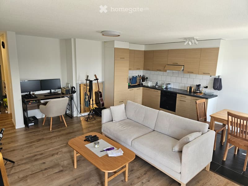 Appartement duplex lumineux et rénové (2)