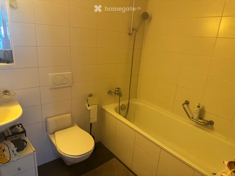 3.5 Pieces proche Vidy - 31/08 (4)