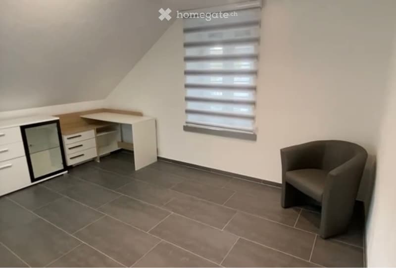 Appartement 3 pièces lumineux avec velux (3)