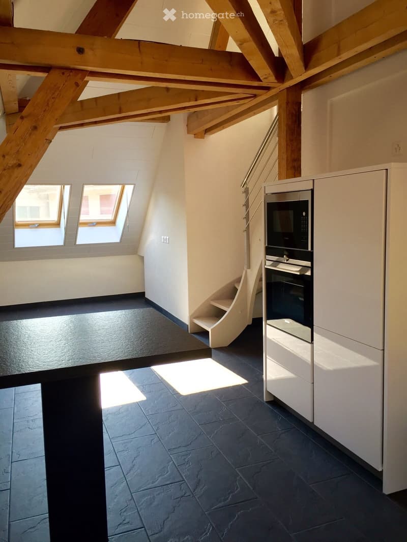 Appartement duplex (3)