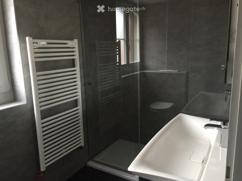 Appartement duplex (4)