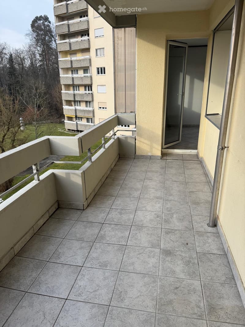 4,5 Zimmer wohnung zu vermieten (3)