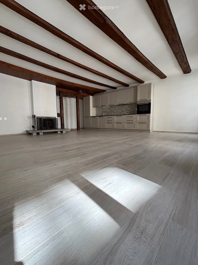 Appartement 2.5 pièces à Fribourg (4)