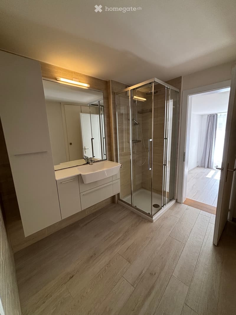 Appartement 2.5 pièces à Fribourg (2)